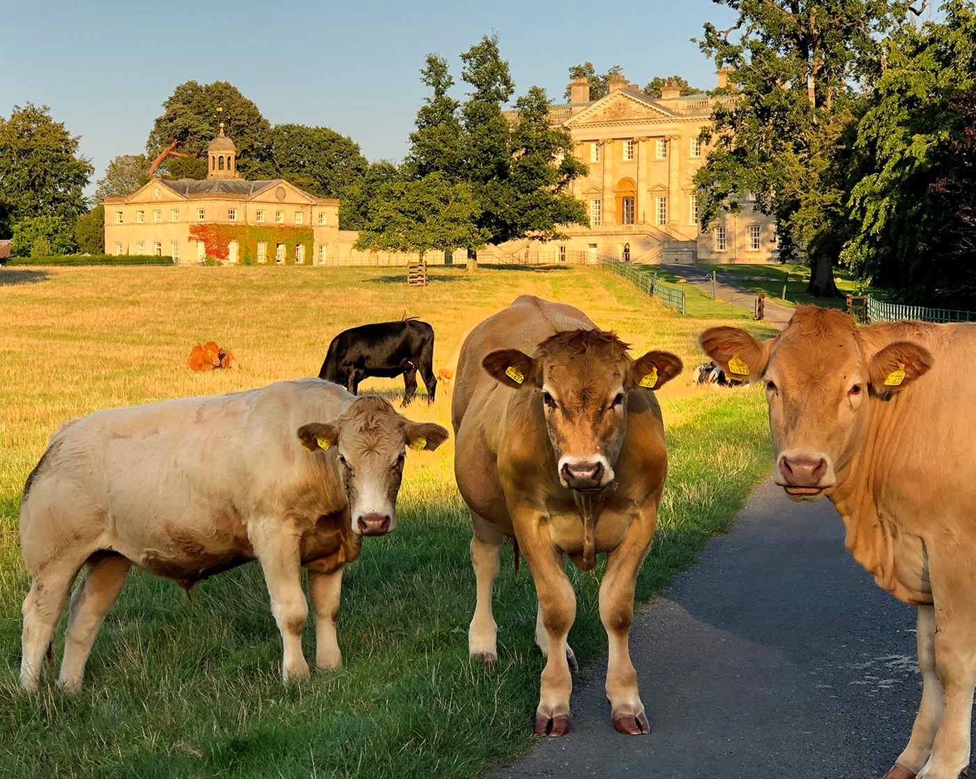 Kirtlington Park estate grounds and house for private hire