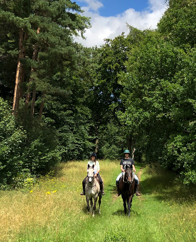 Corporate team activities at country house parkland
