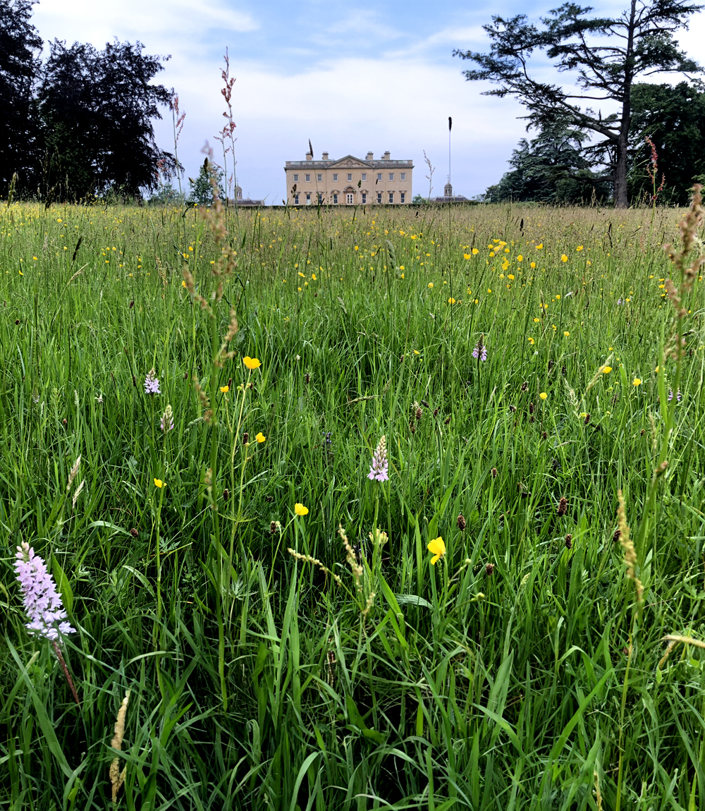 Private hire of Oxfordshire stately home