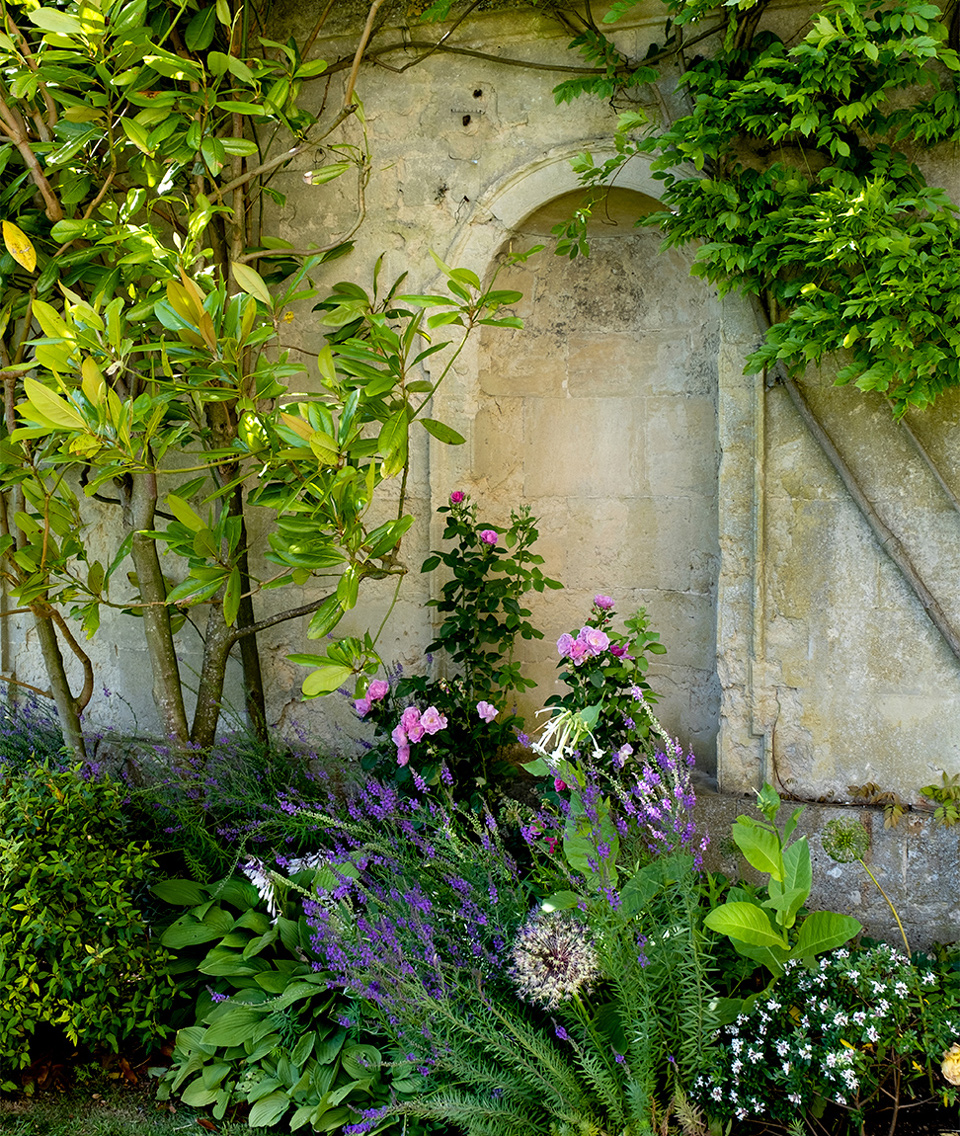 Pink, purple and white flowers in the garden