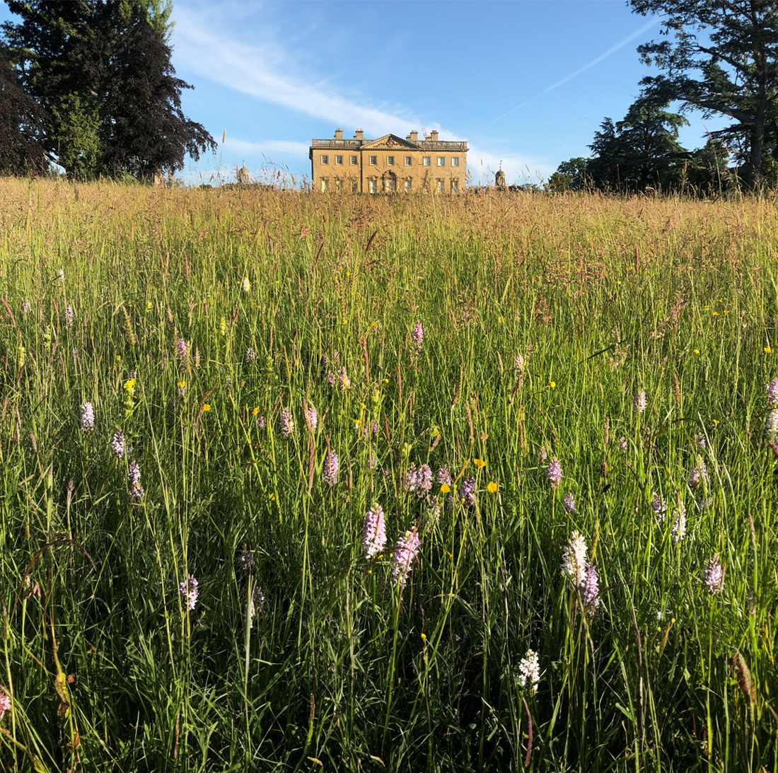 Country house hire for business collaboration and team building events in Oxfordshire